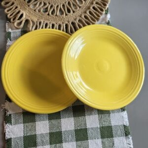 Fiesta Ware Set Of 2 Dinner Plates Green Yellow Orange Drinkware Home Kitchen